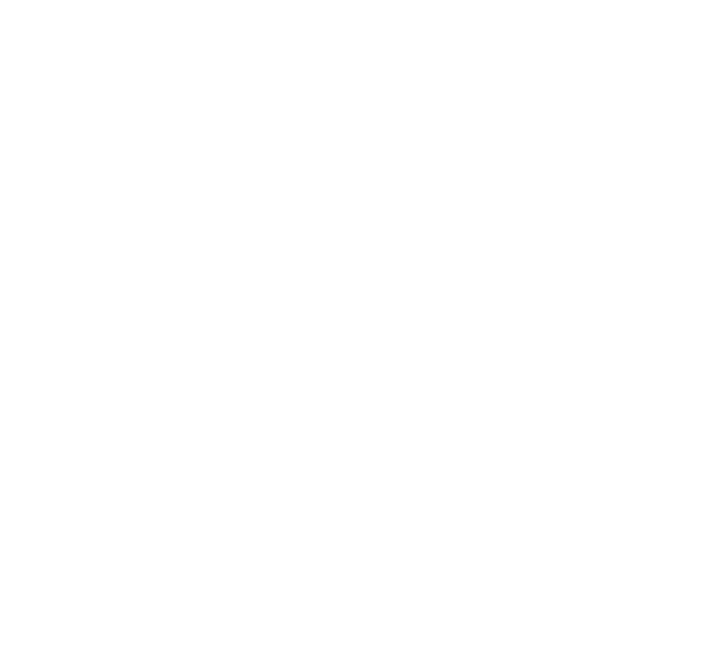 Average Joe Handyman Service LLC — licensed and insured
